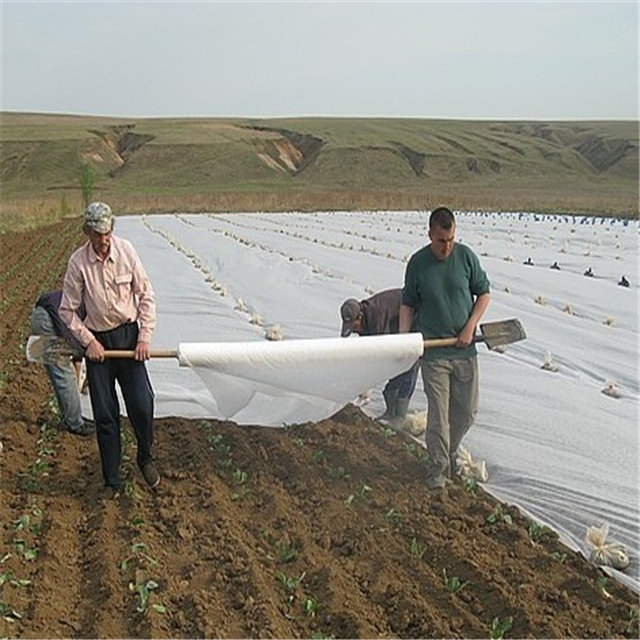 2％UV农业盖的聚丙烯纺粘非织造织物的供应商
