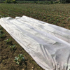 产品黑色/白色PP非织造织物用于农业杂草控制