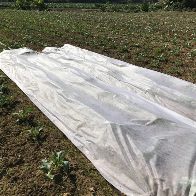 产品黑色/白色PP非织造织物用于农业杂草控制