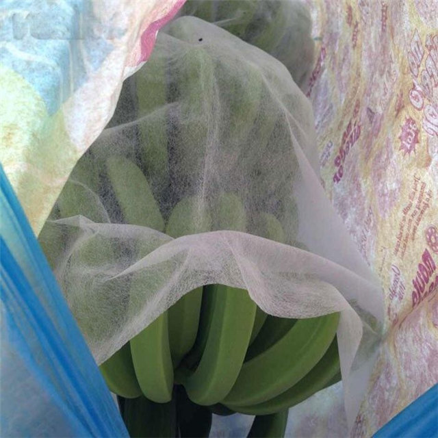 农业用紫外PP非织造织物使用香蕉袋
