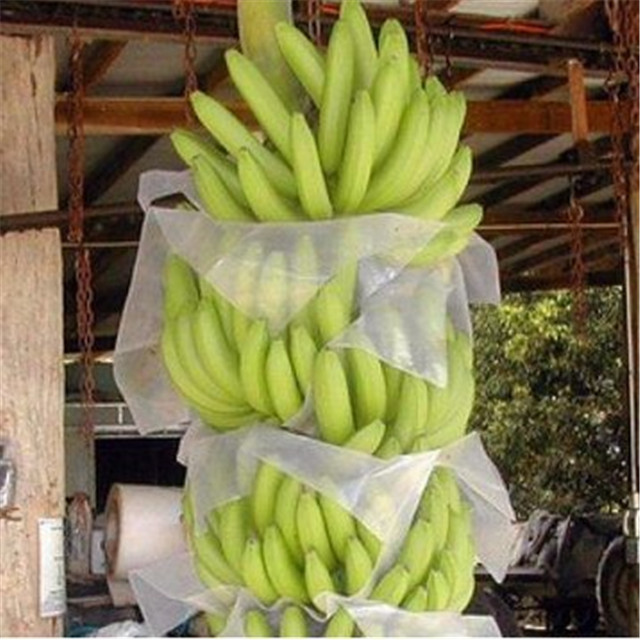 厂价格便宜防紫外线环保聚丙烯非织造布农香蕉袋水果保护