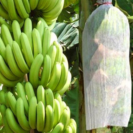 香蕉盖农用100％PP纺粘水果无纺布