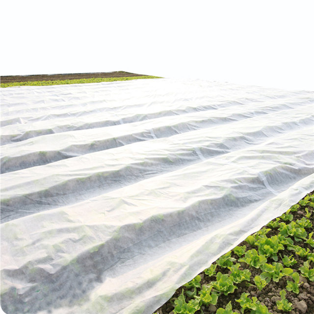 可生物降解的 100% pp 纺粘无纺布农业覆盖物