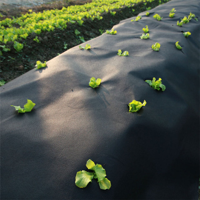 PPSB UV纺粘无纺布用于农业杂草控制