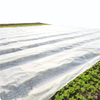 1-5％紫外线PP纺粘农业覆盖无纺布
