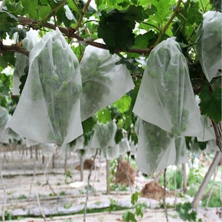 优质低价水果保护袋100％PP农业纺粘无纺布